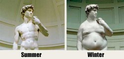 fat-david-vs.-skinny-david